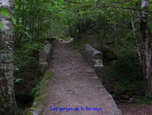 Les Gorges de la Carança