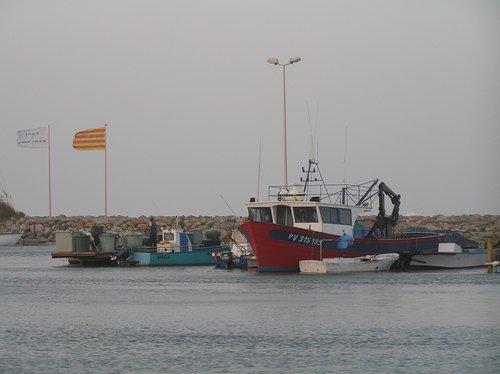 Le port de pêche