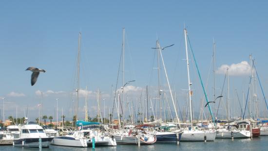 Le Port